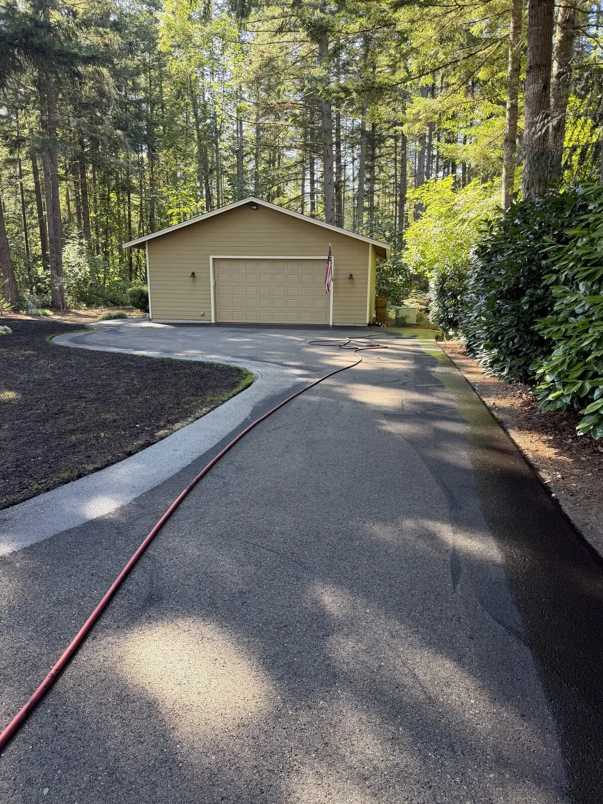 The driveway before sealcoating: washed-out gray asphalt curving through the trees toward a detached garage.