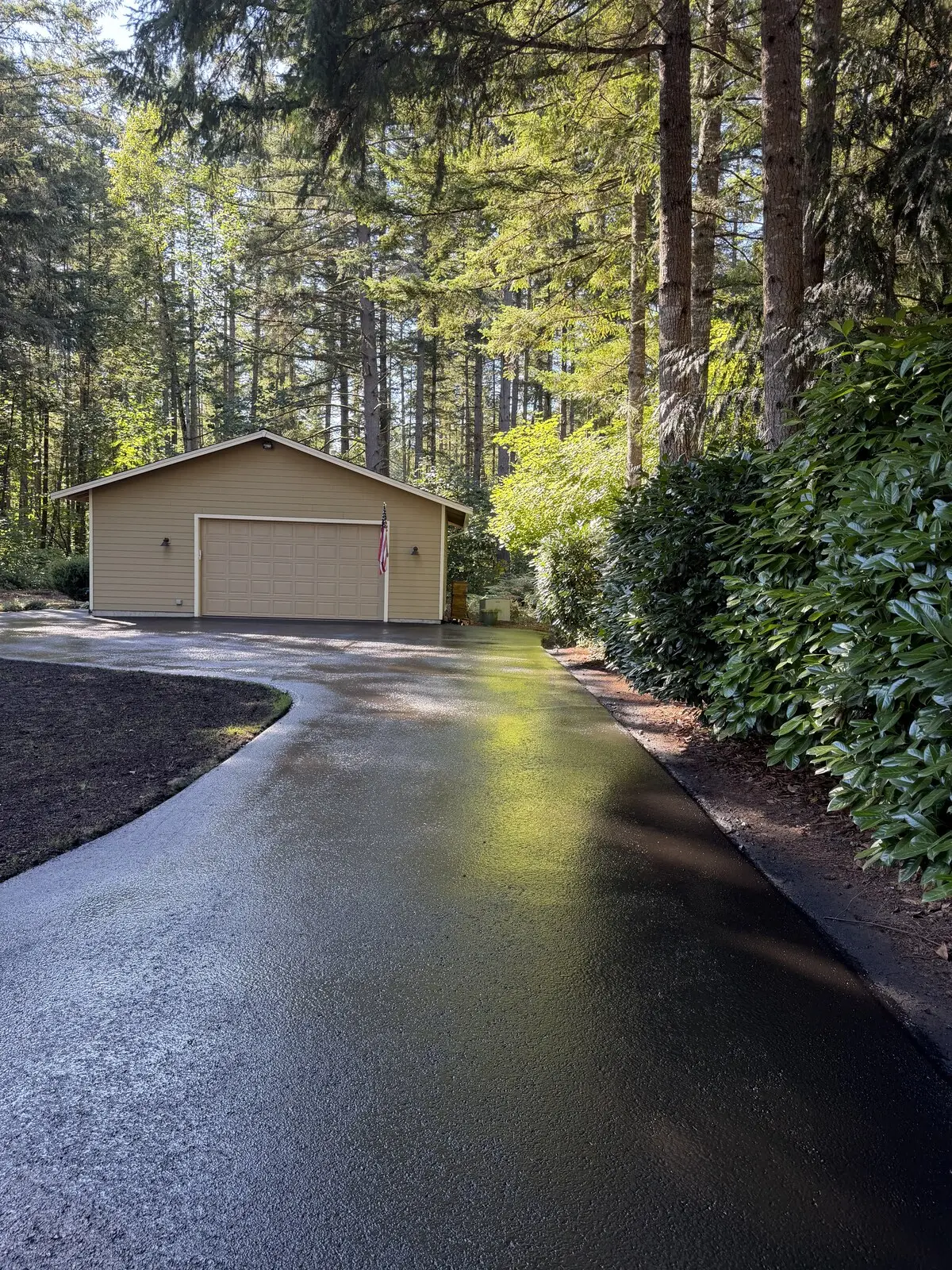 A long wooded driveway freshly sealcoated, deep black and even from the garage out to the road.