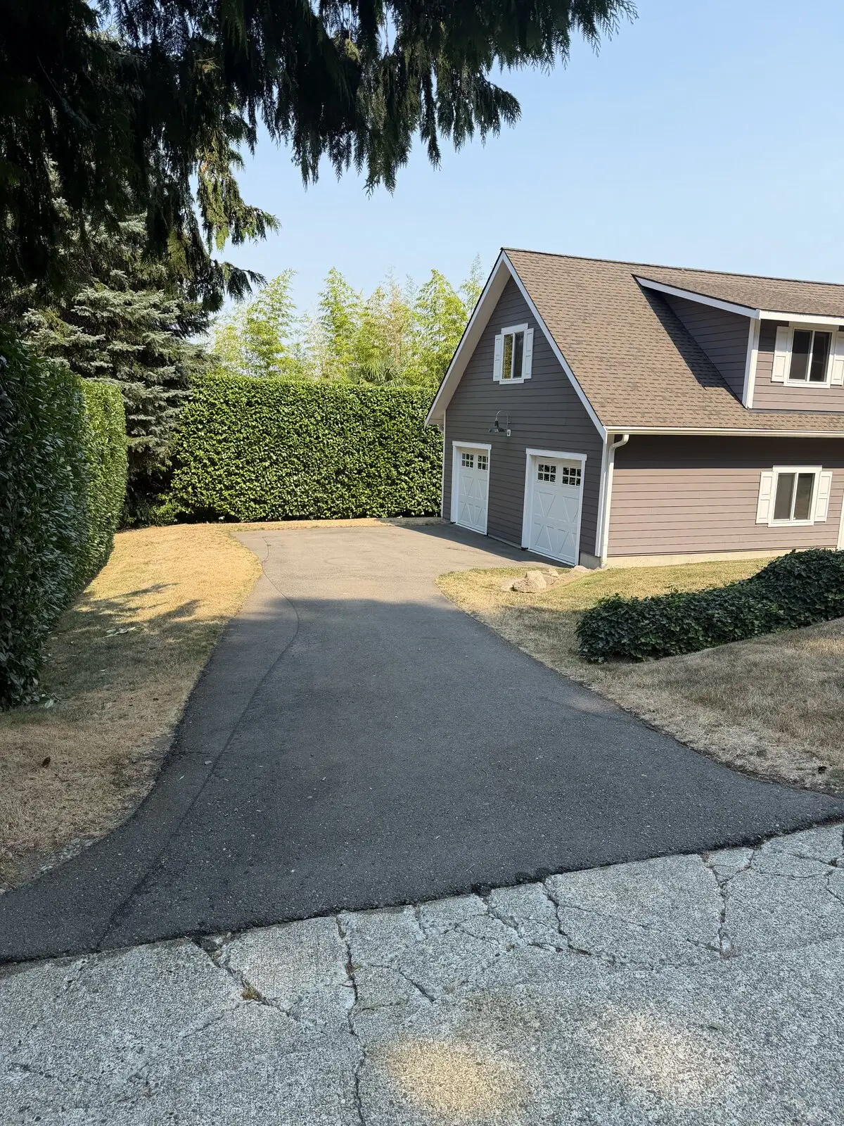 The hedge-lined driveway before sealcoating: sun-faded gray asphalt with a cracked concrete apron at the sidewalk.