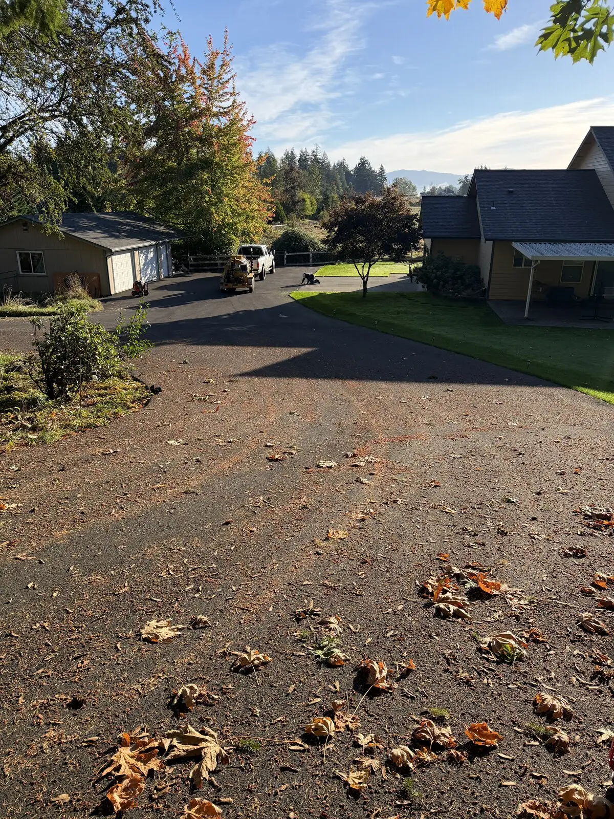 The driveway turnaround before sealcoating: oxidized brown asphalt scattered with fallen leaves.