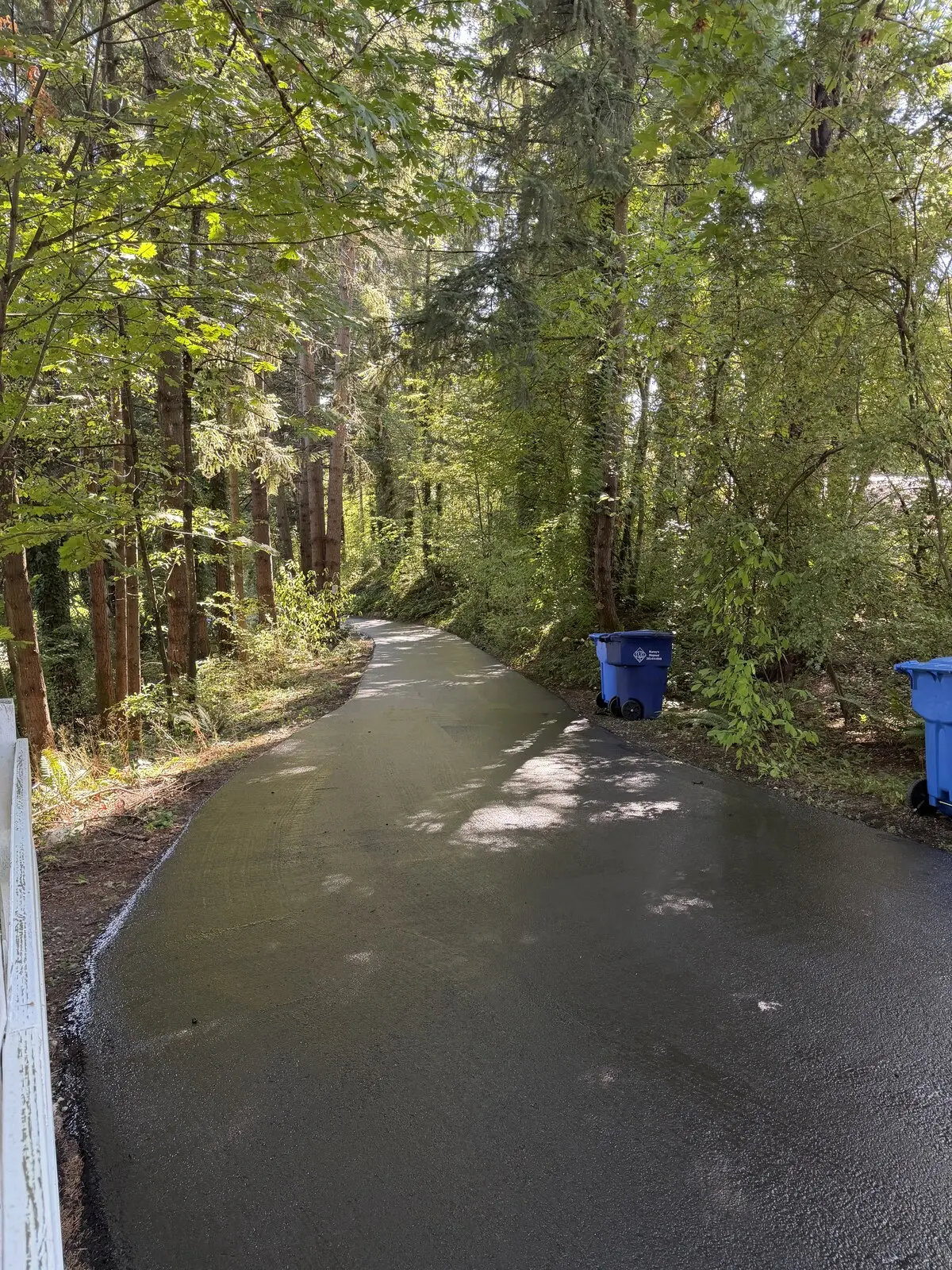 The same tree-lined approach after sealcoating: an even, dark, freshly sealed surface.