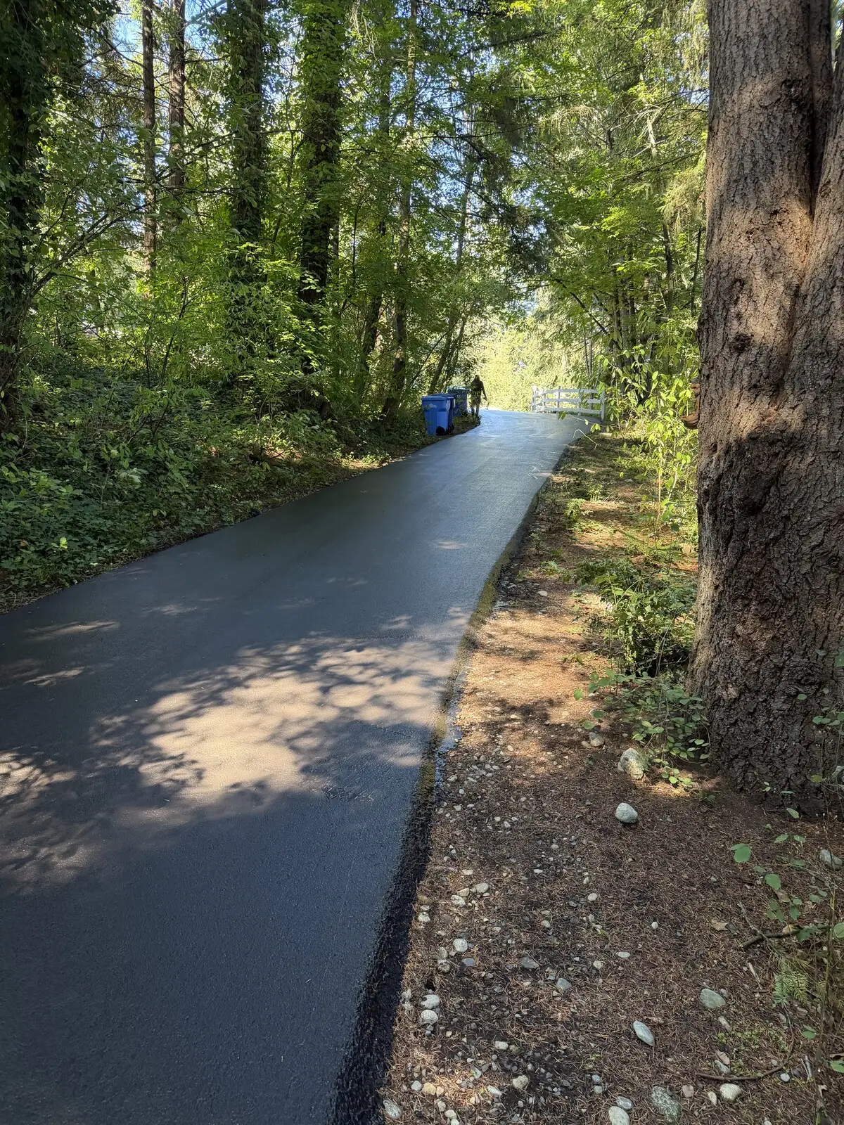Looking down the finished driveway, freshly sealed and curing in the afternoon sun.